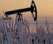 Marktbalance u. Aussichten. Preisentwicklung.