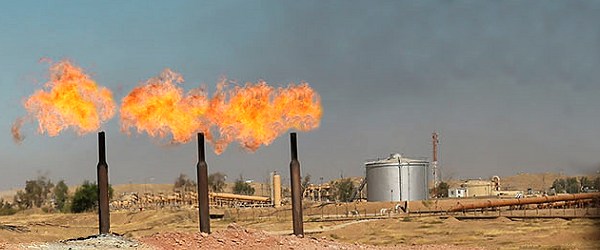 Marktbalance / Fakten / Preisentwicklung